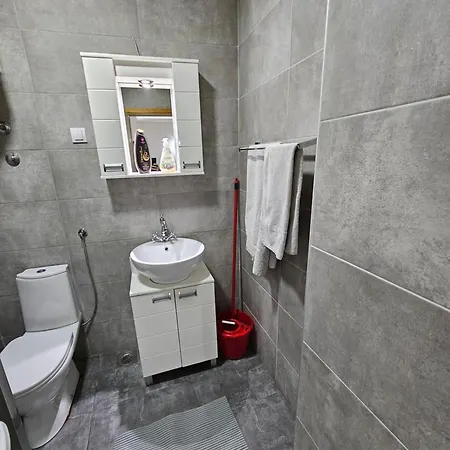 Viktor 贝尔格莱德