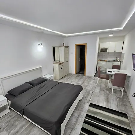 Apartamento Viktor *