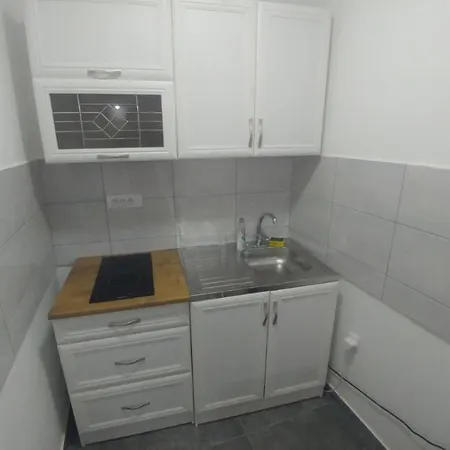 公寓 Viktor 贝尔格莱德